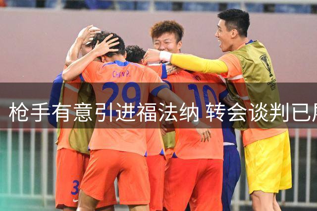 枪手有意引进福法纳 转会谈判已展开初步接触